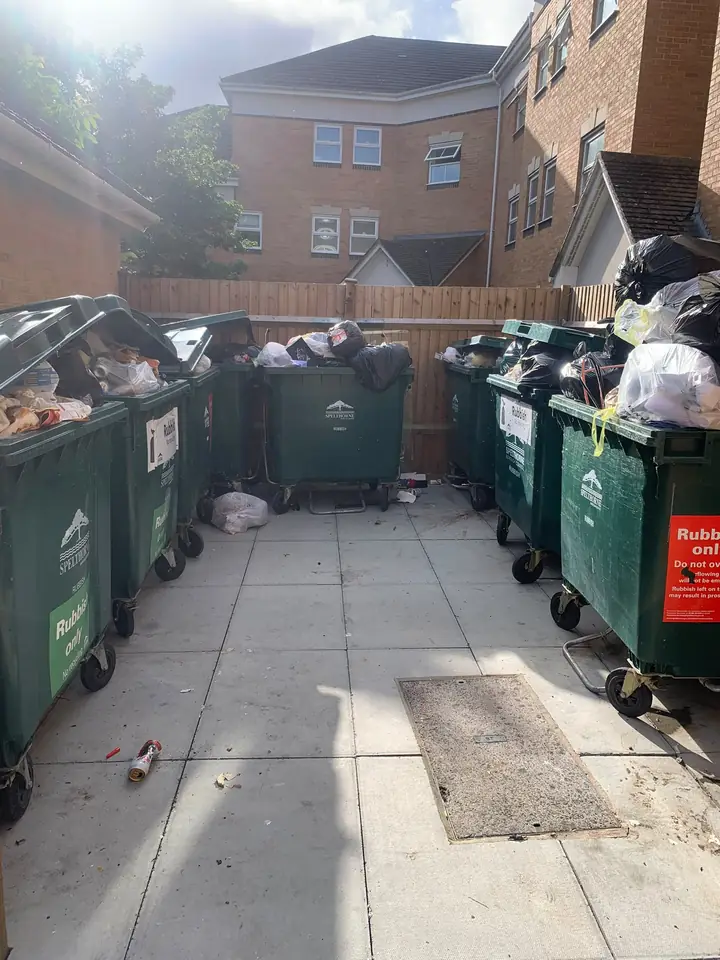 Overflowing communal bins and loose rubbish.